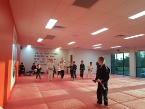 Brazilian Jiu Jitsu kids class Ranking System